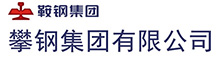 攀鋼集團(tuán)